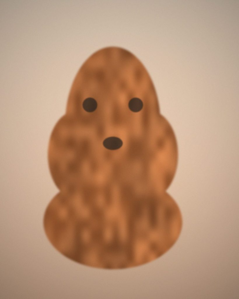 A phone photo of a dog